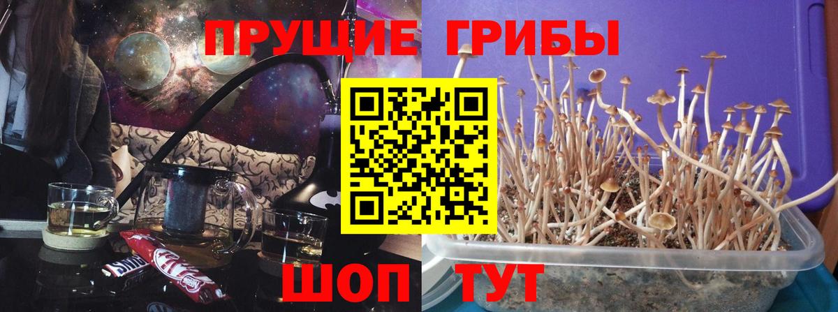 Шахты  Галлюциногенные грибы ЛСД  Вход с VPN 